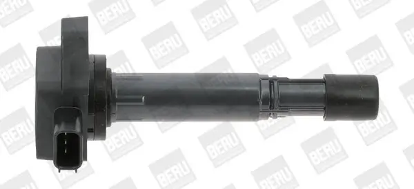 Zündspule 12 V BorgWarner (BERU) ZSE170