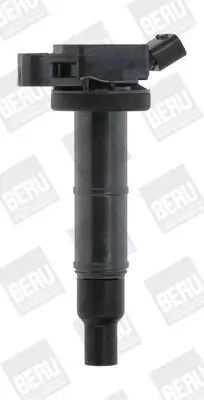 Zündspule 12 V BorgWarner (BERU) ZSE171