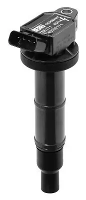 Zündspule 12 V BorgWarner (BERU) ZSE171 Bild Zündspule 12 V BorgWarner (BERU) ZSE171