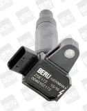 Zündspule 12 V BorgWarner (BERU) ZSE172