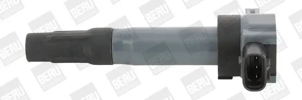 Zündspule 12 V BorgWarner (BERU) ZSE189