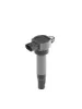 Zündspule 12 V BorgWarner (BERU) ZSE200