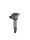 Zündspule 12 V BorgWarner (BERU) ZSE200