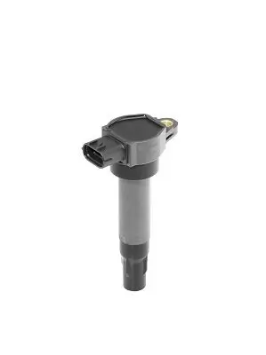 Zündspule 12 V BorgWarner (BERU) ZSE200 Bild Zündspule 12 V BorgWarner (BERU) ZSE200