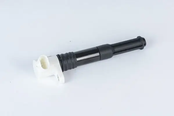 Zündspule 12 V BorgWarner (BERU) ZSE219