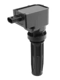 Zündspule 12 V BorgWarner (BERU) ZSE327