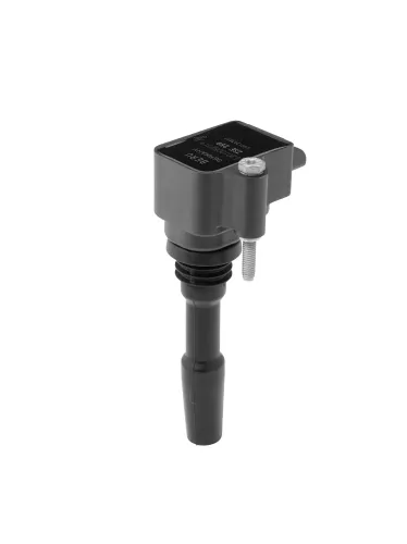 Zündspule 12 V BorgWarner (BERU) ZSE259 Bild Zündspule 12 V BorgWarner (BERU) ZSE259
