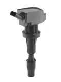 Zündspule 12 V BorgWarner (BERU) ZSE262