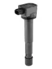 Zündspule 12 V BorgWarner (BERU) ZSE304