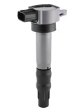 Zündspule 12 V BorgWarner (BERU) ZSE310