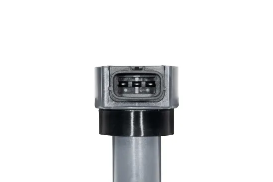 Zündspule 12 V BorgWarner (BERU) ZSE310 Bild Zündspule 12 V BorgWarner (BERU) ZSE310