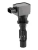 Zündspule 12 V BorgWarner (BERU) ZSE311