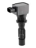 Zündspule 12 V BorgWarner (BERU) ZSE311