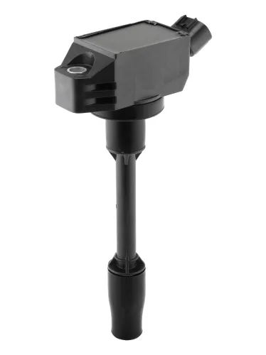 Zündspule 12 V BorgWarner (BERU) ZSE318 Bild Zündspule 12 V BorgWarner (BERU) ZSE318