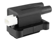 Zündspule 12 V BorgWarner (BERU) ZS581