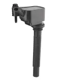 Zündspule 12 V BorgWarner (BERU) ZS617