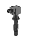 Zündspule 12 V BorgWarner (BERU) ZS618