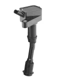Zündspule 12 V BorgWarner (BERU) ZS620