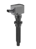 Zündspule 12 V BorgWarner (BERU) ZS622
