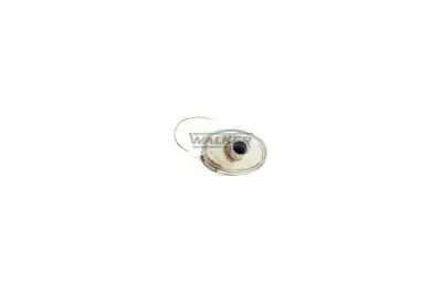Endschalldämpfer hinten hinten WALKER 13598 Bild Endschalldämpfer hinten hinten WALKER 13598
