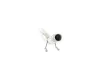 Katalysator vorne vorne WALKER 20881 Bild Katalysator vorne vorne WALKER 20881