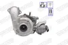Lader, Aufladung WALKER 59019G-PV