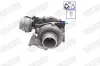 Lader, Aufladung WALKER 59180G-PV