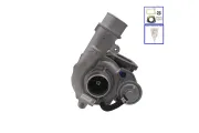 Lader, Aufladung WALKER 59782T-PW
