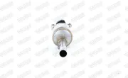 Ruß-/Partikelfilter, Abgasanlage WALKER 73017