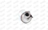 Ruß-/Partikelfilter, Abgasanlage WALKER 73024 Bild Ruß-/Partikelfilter, Abgasanlage WALKER 73024
