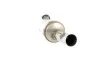 Ruß-/Partikelfilter, Abgasanlage WALKER 73091 Bild Ruß-/Partikelfilter, Abgasanlage WALKER 73091
