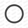 Dichtung, Abgasrohr hinten mitte vorne WALKER 80240 Bild Dichtung, Abgasrohr hinten mitte vorne WALKER 80240