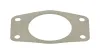 Dichtung, Abgasrohr hinten Mitte vorne WALKER 80445