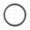 Dichtung, Abgasrohr hinten mitte vorne WALKER 80546