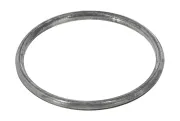 Dichtung, Abgasrohr hinten Mitte vorne WALKER 80572