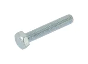 Schraube, Abgasanlage WALKER 80659