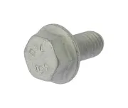 Schraube, Abgasanlage WALKER 80689