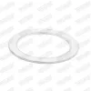 Dichtung, Abgasrohr hinten Mitte vorne WALKER 81026 Bild Dichtung, Abgasrohr hinten Mitte vorne WALKER 81026