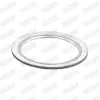 Dichtung, Abgasrohr hinten Mitte vorne WALKER 81049 Bild Dichtung, Abgasrohr hinten Mitte vorne WALKER 81049
