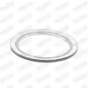 Dichtung, Abgasrohr hinten Mitte vorne WALKER 81049 Bild Dichtung, Abgasrohr hinten Mitte vorne WALKER 81049