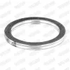 Dichtung, Abgasrohr hinten Mitte vorne WALKER 81122 Bild Dichtung, Abgasrohr hinten Mitte vorne WALKER 81122