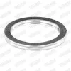 Dichtung, Abgasrohr hinten Mitte vorne WALKER 81122 Bild Dichtung, Abgasrohr hinten Mitte vorne WALKER 81122