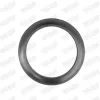 Dichtung, Abgasrohr hinten Mitte vorne WALKER 81153