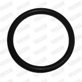 Halter, Abgasanlage WALKER 81224