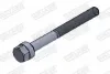 Schraube, Abgasanlage WALKER 81765