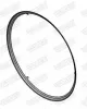 Dichtung, Abgasrohr hinten mitte vorne WALKER 81773