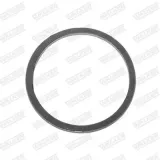 Dichtung, Abgasrohr hinten Mitte vorne WALKER 81778