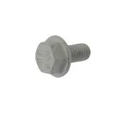 Schraube, Abgasanlage WALKER 81796