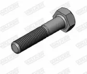 Schraube, Abgasanlage WALKER 81853