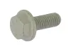 Schraube, Abgasanlage WALKER 81868